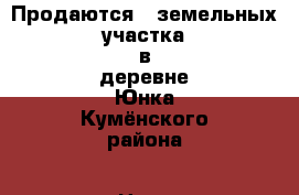 Продаются 3 земельных участка в деревне Юнка Кумёнского района › Цена ­ 4 000 - Кировская обл., Куменский р-н, Юнка д. Недвижимость » Земельные участки продажа   . Кировская обл.